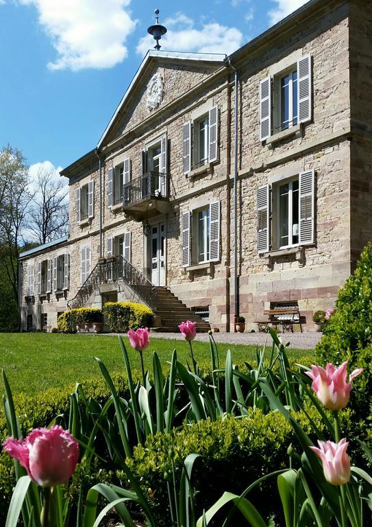 Chateau De La Houillere Acomodação com café da manhã Champagney Exterior foto